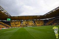 20240817-002-Holstein-Kiel-H