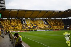 20240817-004-Holstein-Kiel-H