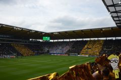 20240817-008-Holstein-Kiel-H