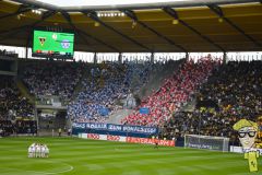 20240817-024-Holstein-Kiel-H